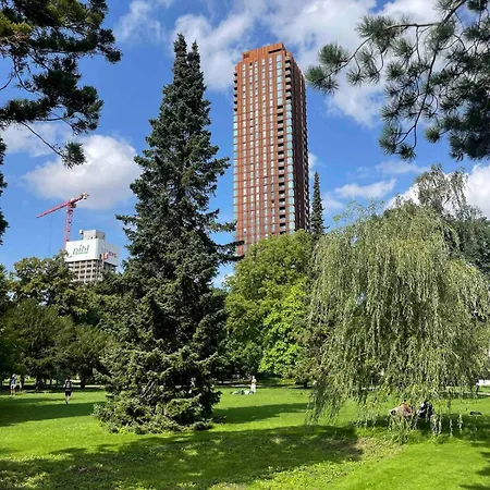 New With A Stunning View